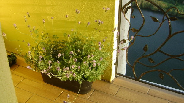 Фото из портфолио мой любимый дом – фотографии дизайна интерьеров на INMYROOM