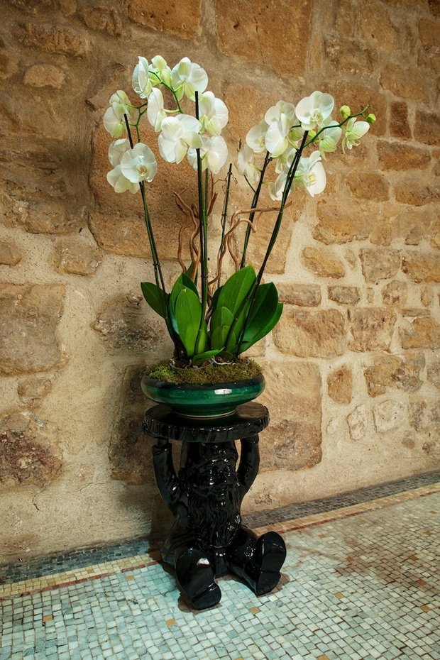 Фотография: Флористика в стиле , Декор интерьера, Дома и квартиры, Городские места, Отель, Проект недели, Картины, Украшения – фото на INMYROOM