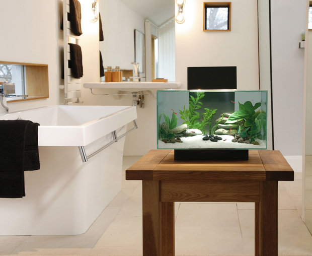 Фотография: Ванная в стиле Скандинавский, Восточный, Декор интерьера, Декор дома – фото на INMYROOM