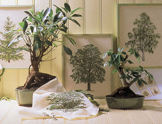 Фотография: Флористика в стиле , Стиль жизни – фото на INMYROOM