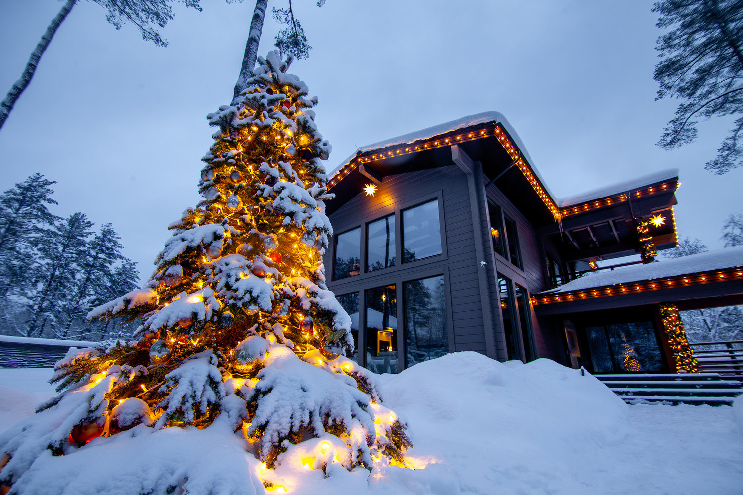 Фотография: в стиле , Советы, Derevo Park – фото на INMYROOM