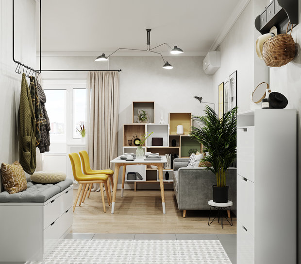 Фотография: Прихожая в стиле Скандинавский, Гостиная, Квартира, Проект недели, 1 комната, до 40 метров, Тольятти – фото на INMYROOM