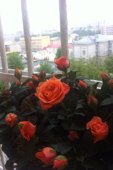 Фотография: Флористика в стиле  – фото на InMyRoom.ru
