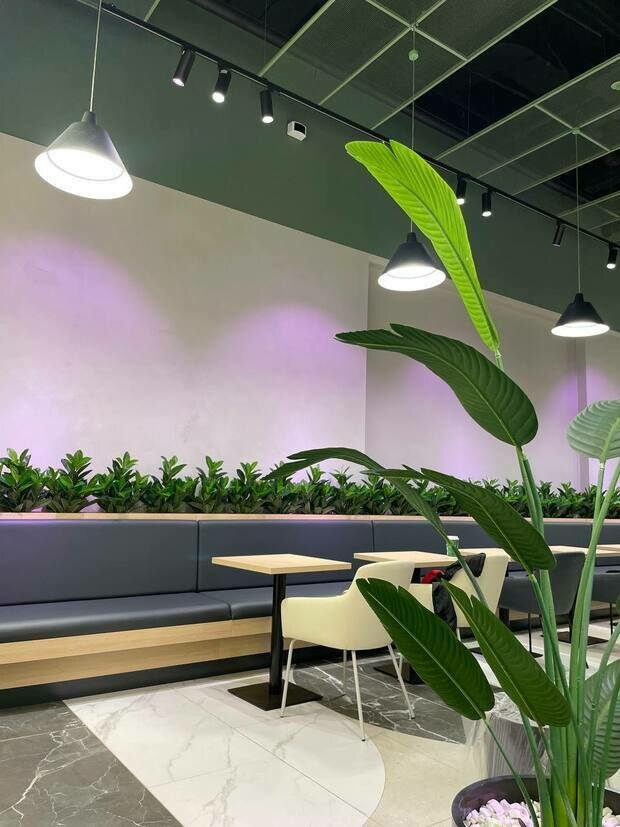 Фото из портфолио Фудкорт г.Санкт-Петербург – фотографии дизайна интерьеров на INMYROOM