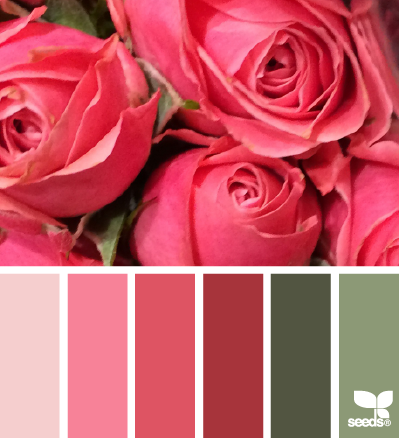 Фото из портфолио Сочетание цветов – фотографии дизайна интерьеров на InMyRoom.ru