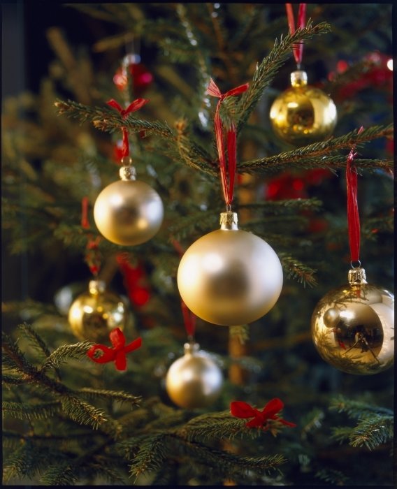 Фото из портфолио Christmas – фотографии дизайна интерьеров на INMYROOM