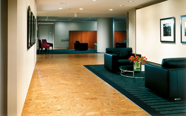 Фотография: в стиле Современный, Стиль жизни, Советы, Пол – фото на INMYROOM