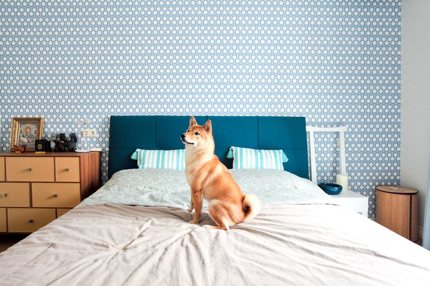 Фотография: Спальня в стиле Лофт, Скандинавский, Современный, Квартира, Проект недели – фото на INMYROOM