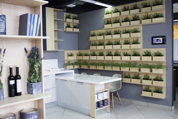 Кухня Dominica фабрики «Мария»