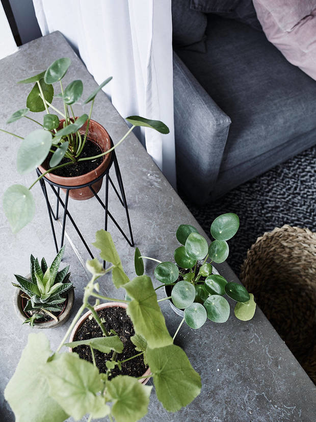 Фото из портфолио Vantgatan 3 K – фотографии дизайна интерьеров на INMYROOM