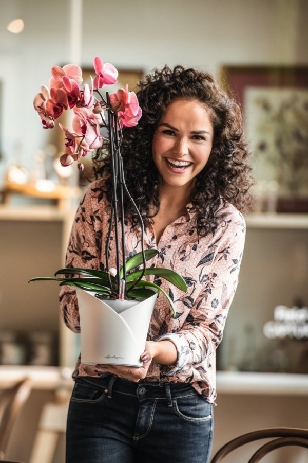 Фото из портфолио LECHUZA ORHIDEA – фотографии дизайна интерьеров на INMYROOM