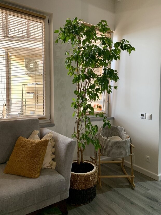 Фото из портфолио Мини лофт – фотографии дизайна интерьеров на INMYROOM