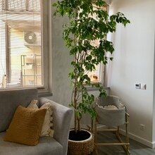 Фото из портфолио Мини лофт – фотографии дизайна интерьеров на INMYROOM