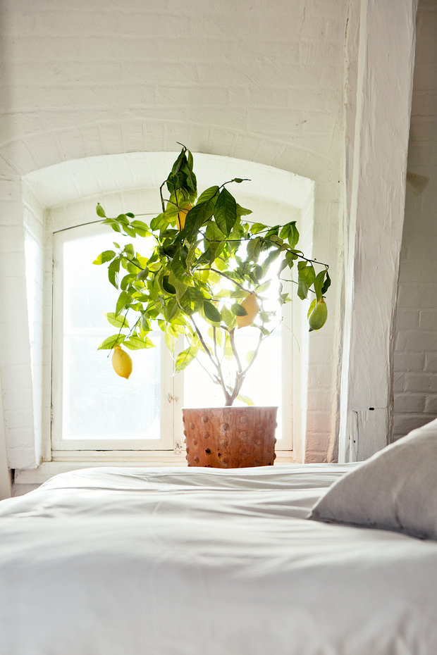 Фото из портфолио  KÖPMANGATAN 13 – фотографии дизайна интерьеров на INMYROOM