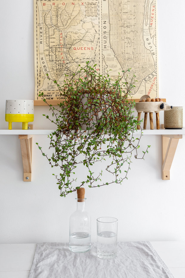 Фотография: Декор в стиле Скандинавский, Квартира, Белый, Проект недели, Москва, Серый, Коричневый, Герой InMyRoom, Хрущевка, 2 комнаты, 40-60 метров, I-511, Даша Третьякова – фото на INMYROOM