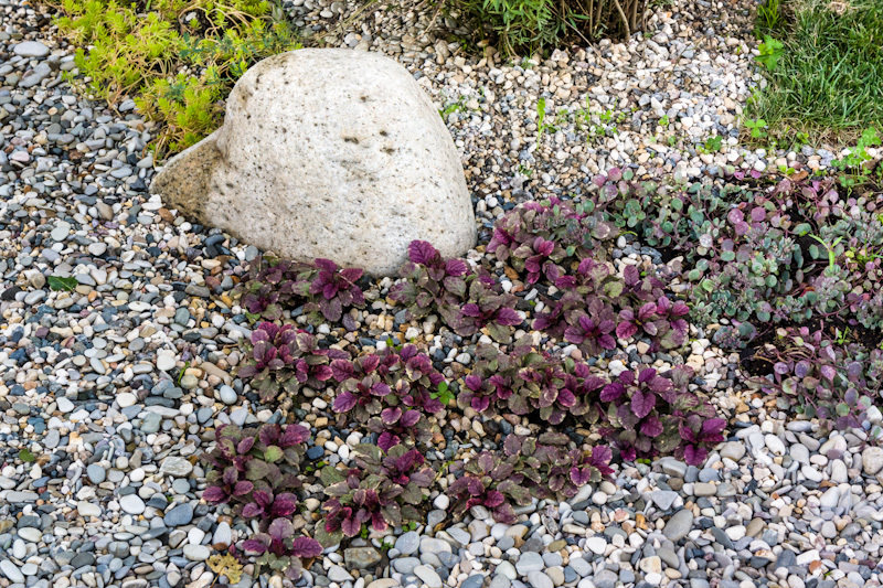 Фотография: Ландшафт в стиле Современный, Дачный ответ, Беседка – фото на INMYROOM Фотография: Ландшафт в стиле Современный, Дачный ответ, Беседка – фото на INMYROOM