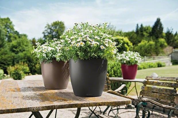 Фото из портфолио Кашпо CLASSICO Color – фотографии дизайна интерьеров на INMYROOM