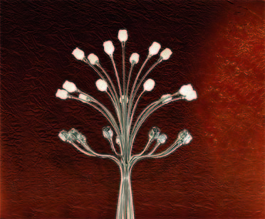 Фото из портфолио Мебель для дизайнеров Vidal Gold – фотографии дизайна интерьеров на INMYROOM