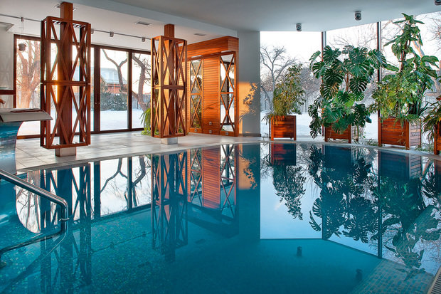 Фото из портфолио Дом под деревом – фотографии дизайна интерьеров на INMYROOM