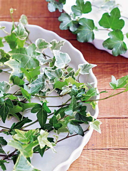 Фотография: Флористика в стиле , Стиль жизни – фото на INMYROOM