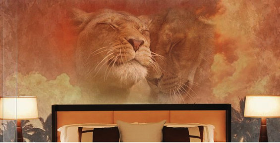 Фотография: Декор в стиле Прованс и Кантри, Классический, Современный – фото на INMYROOM