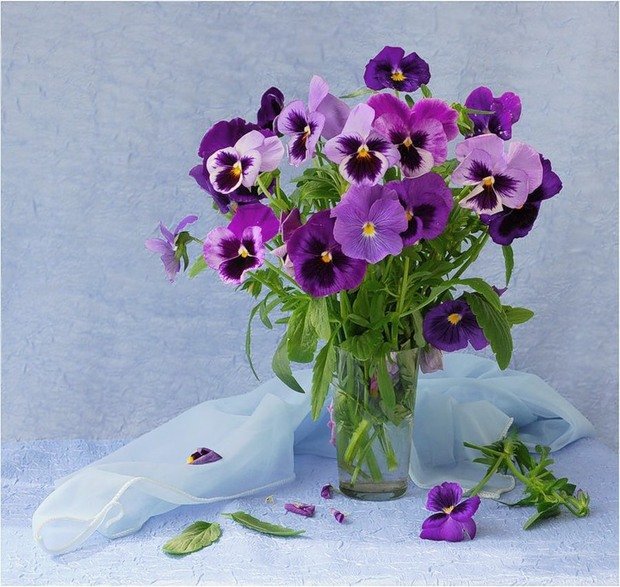 Фотография: Флористика в стиле , Декор интерьера, Дом, Стиль жизни, Цветы – фото на INMYROOM