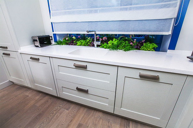 Фото из портфолио Квартирный вопрос "Кухня с огоньком" – фотографии дизайна интерьеров на INMYROOM