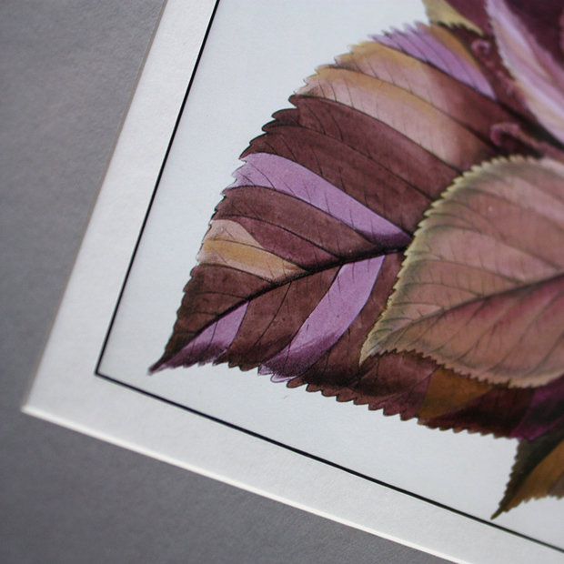 Фото из портфолио VIOLET STORY – фотографии дизайна интерьеров на INMYROOM