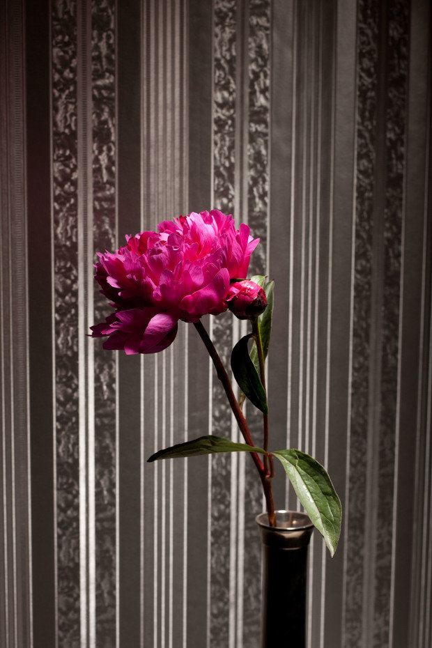 Фото из портфолио Мое избранное – фотографии дизайна интерьеров на INMYROOM