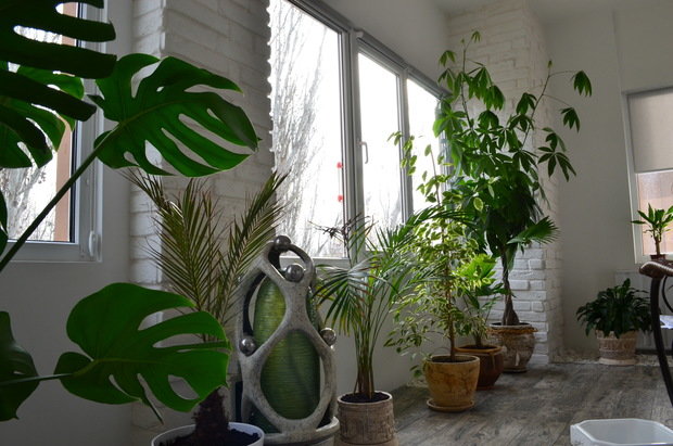 Фото из портфолио Вещи, которые я хочу – фотографии дизайна интерьеров на INMYROOM