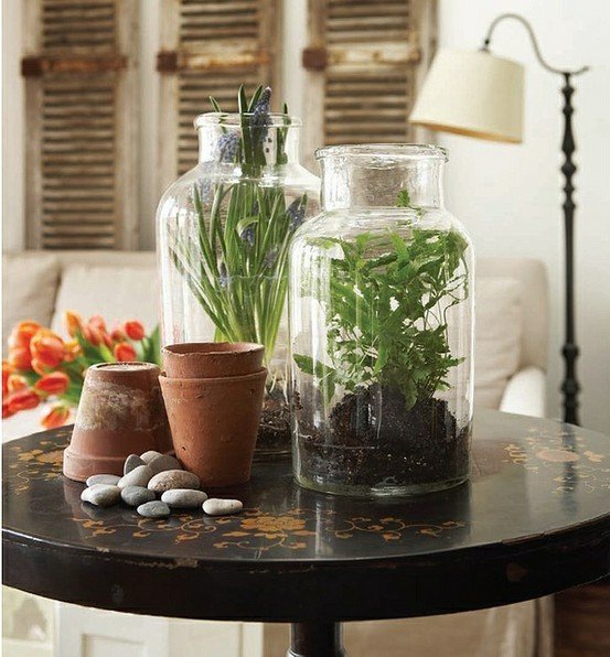 Фотография: Декор в стиле Прованс и Кантри, Малогабаритная квартира, Квартира, Флористика, Стиль жизни, Зимний сад – фото на INMYROOM Фотография: Декор в стиле Прованс и Кантри, Малогабаритная квартира, Квартира, Флористика, Стиль жизни, Зимний сад – фото на INMYROOM