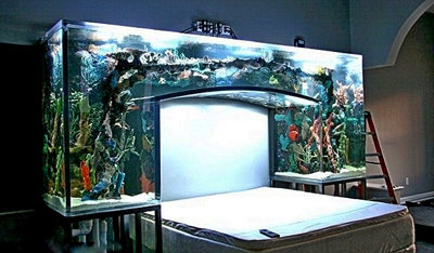 Фотография: Гостиная в стиле Современный, Декор интерьера, DIY – фото на INMYROOM Фотография: Гостиная в стиле Современный, Декор интерьера, DIY – фото на INMYROOM