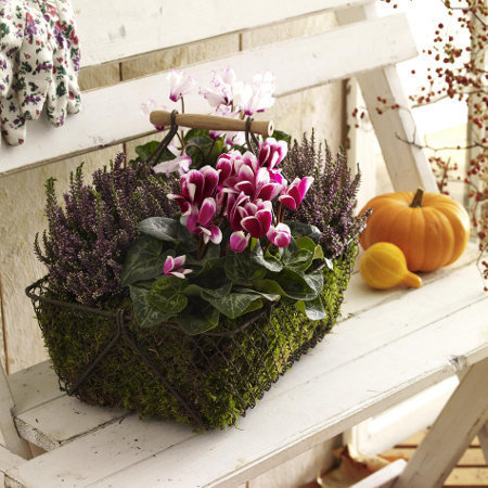 Фотография: Флористика в стиле , Декор интерьера, DIY – фото на INMYROOM