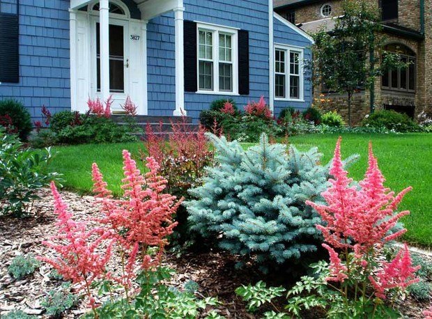 Фотография: Ландшафт в стиле , Советы, Derevo Park, как выбрать растения для сада, растения – фото на INMYROOM