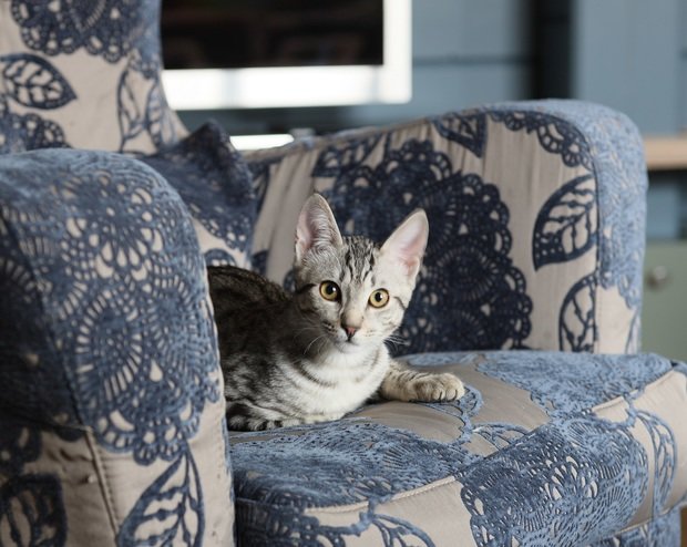 Фото из портфолио Дача с юмором – фотографии дизайна интерьеров на INMYROOM