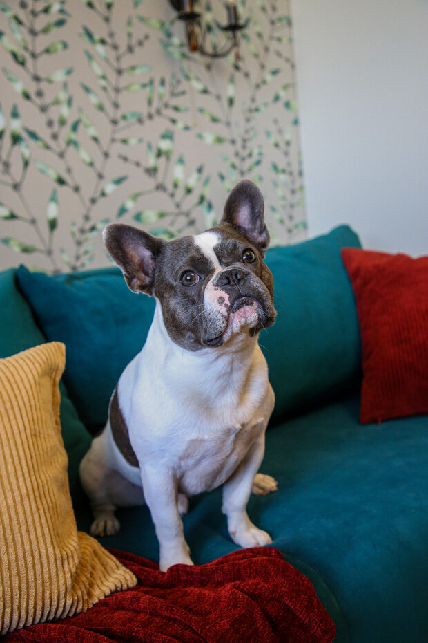 Фотография: Гостиная в стиле Современный, Квартира, Проект дня, Московская область, Монолитный дом, 3 комнаты, 60-90 метров, Жуковский, Мария Чикунова – фото на INMYROOM