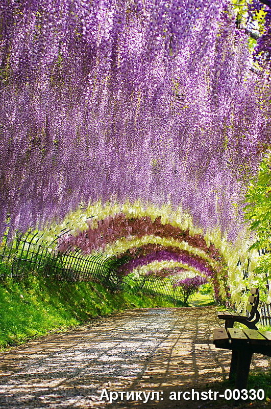 Фото из портфолио Арки, Улицы, Терасы – фотографии дизайна интерьеров на INMYROOM