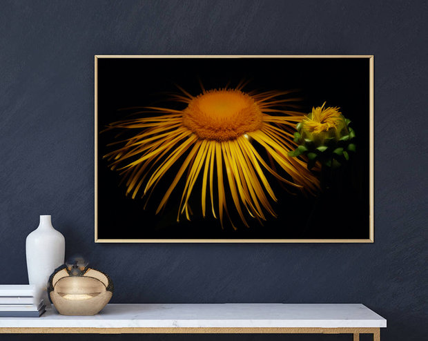 Фото из портфолио Постеры в интерьере – фотографии дизайна интерьеров на INMYROOM