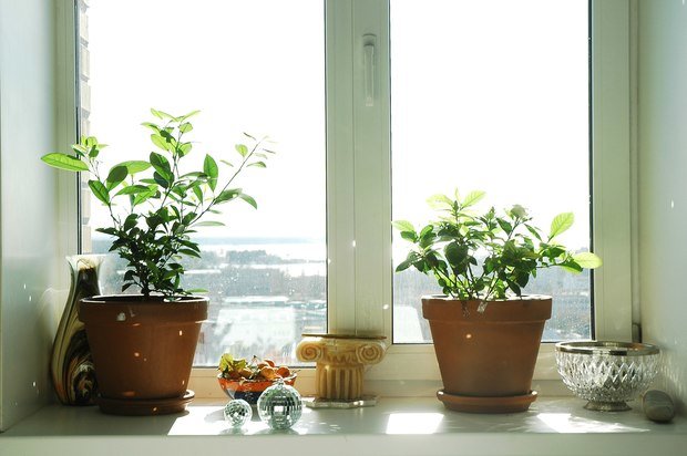 Фото из портфолио №2 – фотографии дизайна интерьеров на INMYROOM