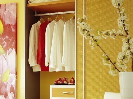 Фотография: Гардеробная в стиле Современный, Советы – фото на INMYROOM