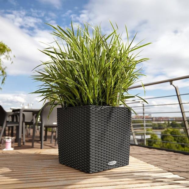 Фото из портфолио Кашпо с автополивом  LECHUZA CUBE Cottage – фотографии дизайна интерьеров на INMYROOM