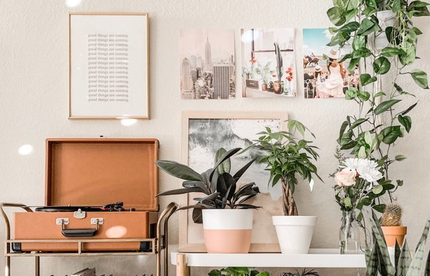 Фотография: Декор в стиле Скандинавский, Декор интерьера, Квартира, Советы, Евгения Лыкасова – фото на INMYROOM