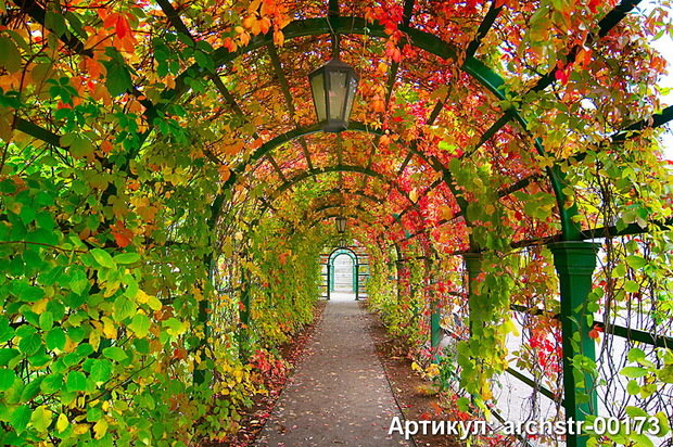 Фото из портфолио Арки, Улицы, Терасы – фотографии дизайна интерьеров на InMyRoom.ru