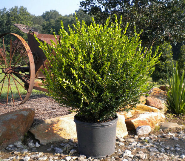 Фото из портфолио Дизайн – фотографии дизайна интерьеров на INMYROOM