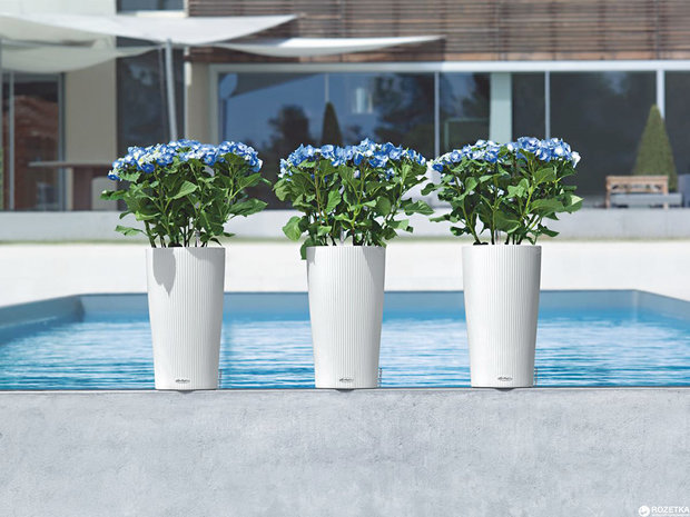 Фото из портфолио LECHUZA CILINDRO Color – фотографии дизайна интерьеров на INMYROOM