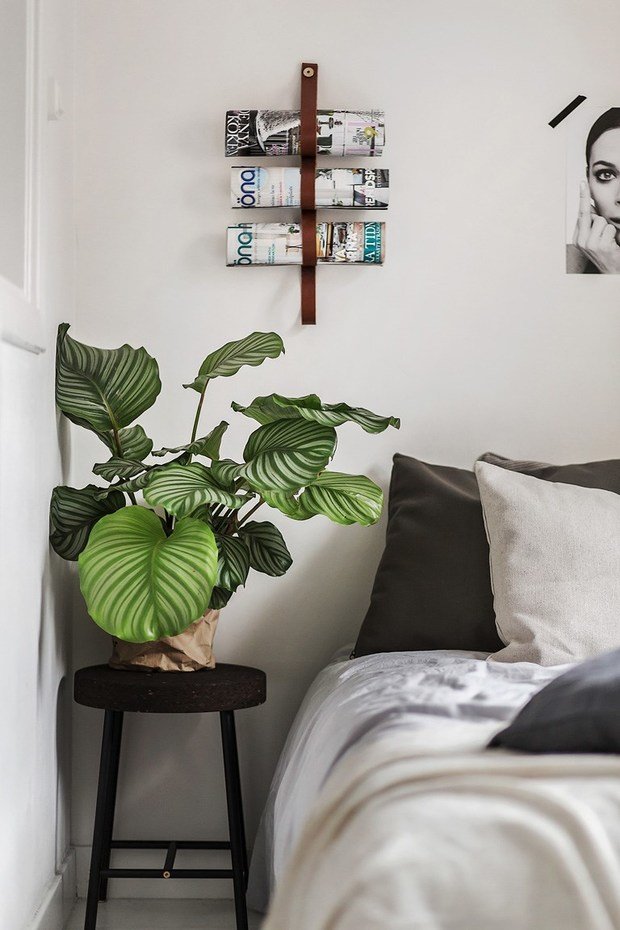 Фото из портфолио  Gambrinusgatan 5, Kungsholmstorg, Stockholm – фотографии дизайна интерьеров на INMYROOM