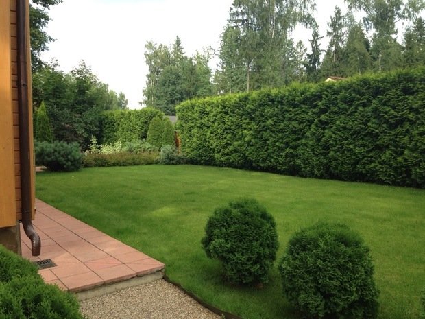 Фото из портфолио Озеленение и благоустройство – фотографии дизайна интерьеров на INMYROOM