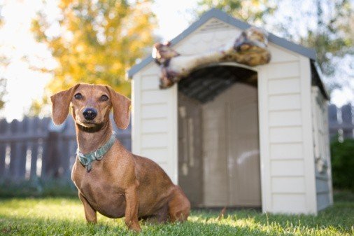 Фотография: в стиле Современный, Стиль жизни, Советы – фото на INMYROOM Фотография: в стиле Современный, Стиль жизни, Советы – фото на INMYROOM