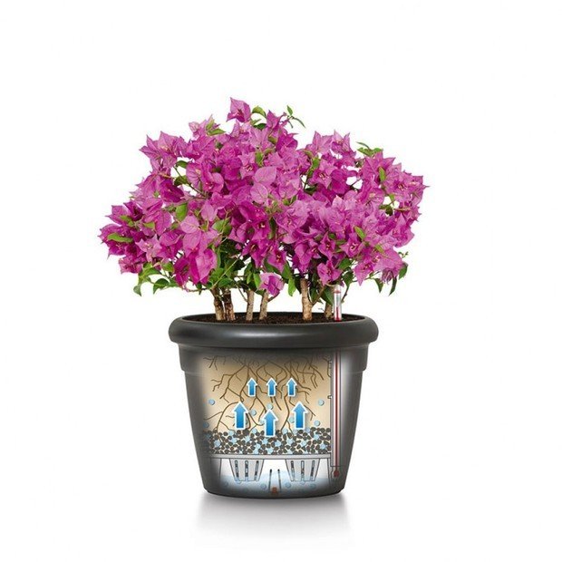 Фото из портфолио RUSTICO Color кашпо с автополивом – фотографии дизайна интерьеров на INMYROOM