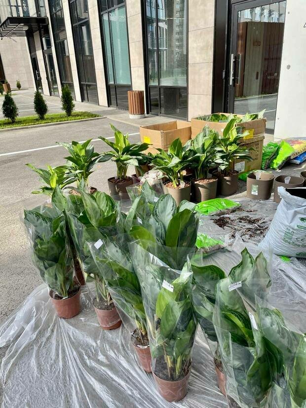 Фото из портфолио Кафе в БЦ М22 г. Санкт-Петербург – фотографии дизайна интерьеров на INMYROOM